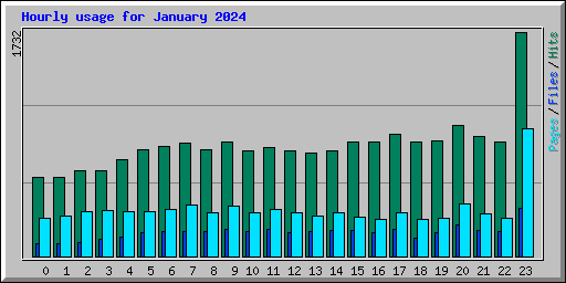 Hourly usage for January 2024