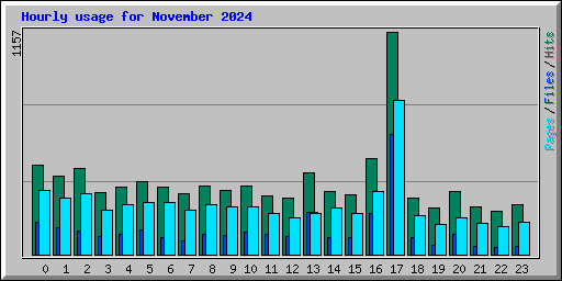 Hourly usage for November 2024