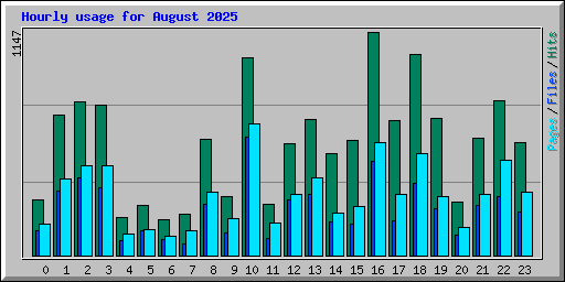 Hourly usage for August 2025