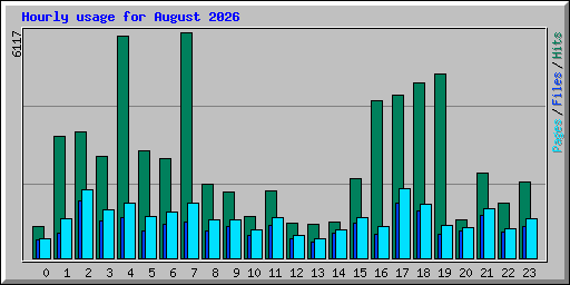 Hourly usage for August 2026