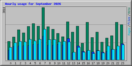 Hourly usage for September 2026